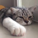 สมาชิกหมายเลข 2020761