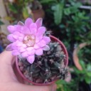 สมาชิกหมายเลข 2348656