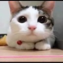 สมาชิกหมายเลข 2795928