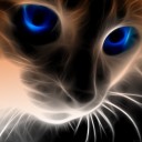 สมาชิกหมายเลข 779752