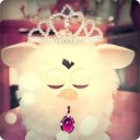 สมาชิกหมายเลข 780005