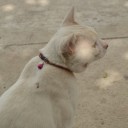 สมาชิกหมายเลข 1179801