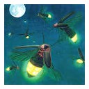 หิ่งห้อยน้อยแสง