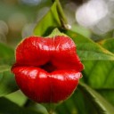 สมาชิกหมายเลข 1592007