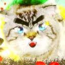 สมาชิกหมายเลข 1592339