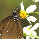 สมาชิกหมายเลข 897897