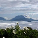 สมาชิกหมายเลข 1157348