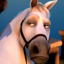 สมาชิกหมายเลข 1180647