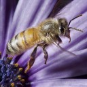 สมาชิกหมายเลข 780693