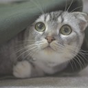 สมาชิกหมายเลข 1991475