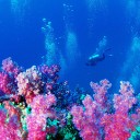 สมาชิกหมายเลข 1866984