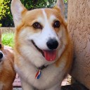 สมาชิกหมายเลข 2555126