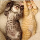 สมาชิกหมายเลข 1273800