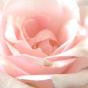 สมาชิกหมายเลข 752600