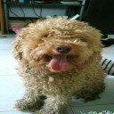 สมาชิกหมายเลข 781771