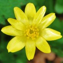 สมาชิกหมายเลข 1169366