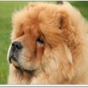 สมาชิกหมายเลข 1181543