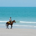 สมาชิกหมายเลข 839403