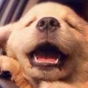 สมาชิกหมายเลข 2813541