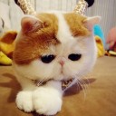 สมาชิกหมายเลข 2813576