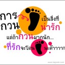 สมาชิกหมายเลข 772540