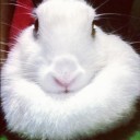 สมาชิกหมายเลข 779304