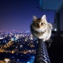 สมาชิกหมายเลข 1594405