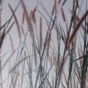 สมาชิกหมายเลข 876485