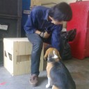 สมาชิกหมายเลข 783252