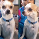 สมาชิกหมายเลข 1897382