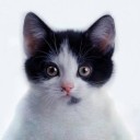 สมาชิกหมายเลข 2100127