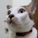 สมาชิกหมายเลข 3244462