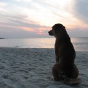 สมาชิกหมายเลข 783523