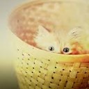 สมาชิกหมายเลข 783638