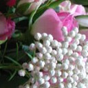 สมาชิกหมายเลข 1183079