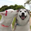 สมาชิกหมายเลข 2415751