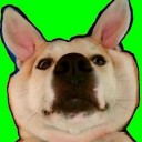 ถังถังตะลุยโลกกว้าง