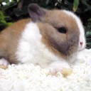 สมาชิกหมายเลข 783851