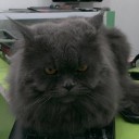 สมาชิกหมายเลข 2002706