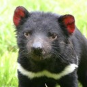 สมาชิกหมายเลข 784480