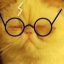 สมาชิกหมายเลข 1003966