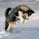 สมาชิกหมายเลข 1587806