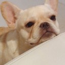 สมาชิกหมายเลข 1756828