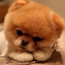 สมาชิกหมายเลข 2815908