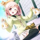 สมาชิกหมายเลข 2204842