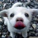 สมาชิกหมายเลข 3066097