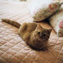 สมาชิกหมายเลข 784970