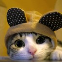 สมาชิกหมายเลข 1971082