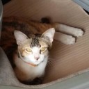 ฉันไม่ต้องการใครอีก