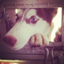 คนไม่พิเศษ "ซาคุ"